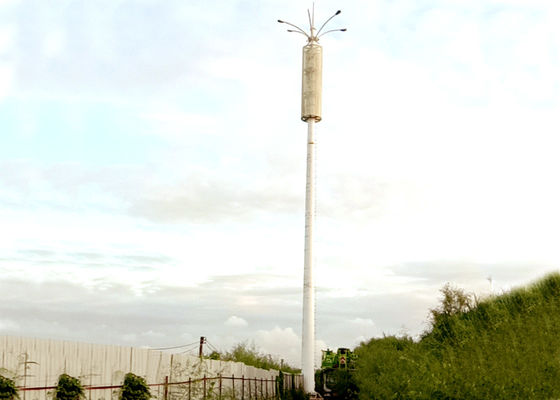 Powder Coated Galvanised Street Light Pole 12m Z Shape Q345B